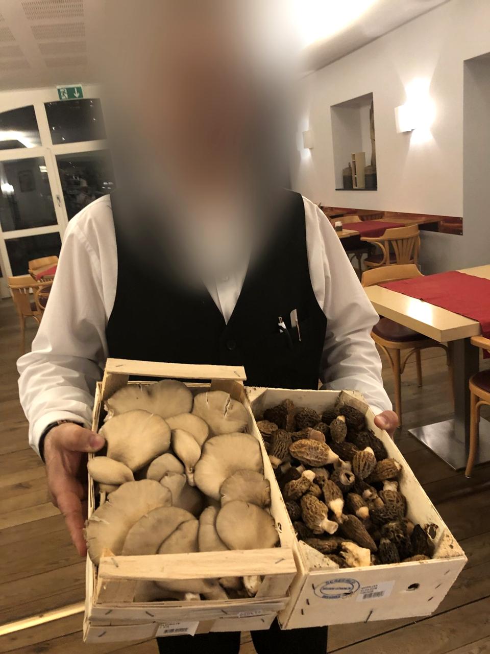 Une cagette de champignons des bois en salle